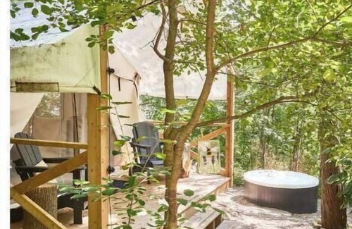 Elora Cabin | Luxury Glamping on Elora Flower Farm - Honeybee