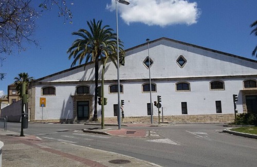 Jerez de la Frontera Apartment | LUXURY LOUP DUPLEX IN BODEGA OF THE XVII CENTURY