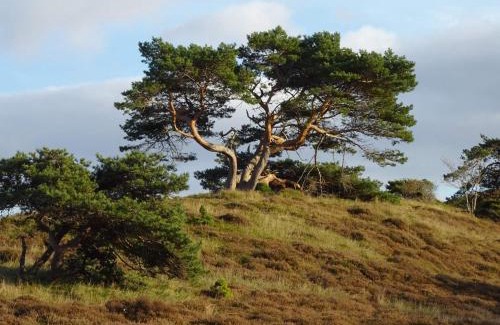 Vejby House | Luxury Pool Villa in Vejby - By Traum Ferienwohnungen