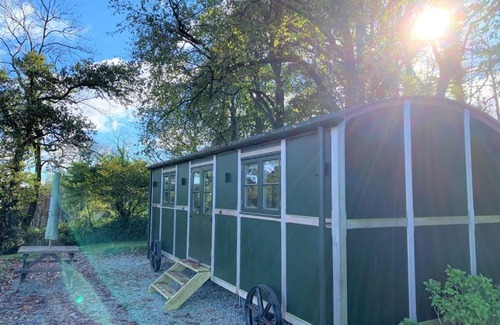 Tavistock Cabin | Luxury Shepherds Hut with Superb Views & Fire Pit & walking distance to a superb Gastro Pub