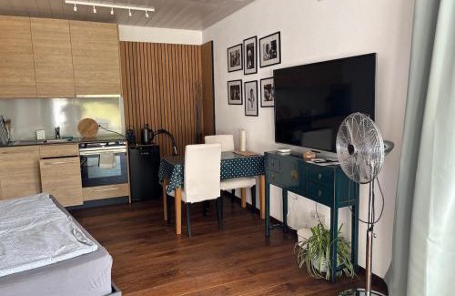 Mettauertal Apartment | Luxury Studio, Hillside View in Mettau,