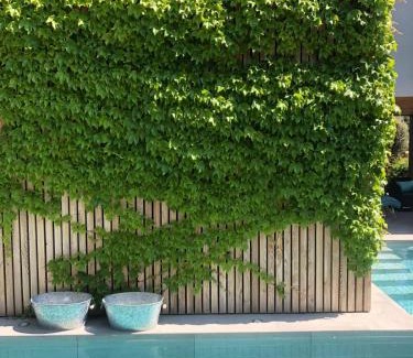 San Juan de Alicante Villa | Luxury Villa Beach & Golf