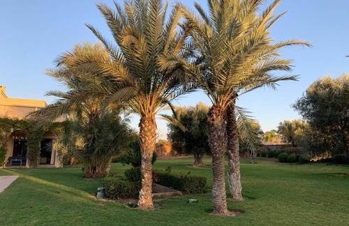 Assouel House | Luxury villa in the Marrakech palm grove, a 2-hectare property