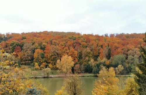 Zalacsany Apartment | Mészi Vendégház