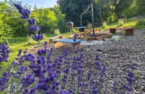 Zalacsany Apartment | Mészi Vendégház