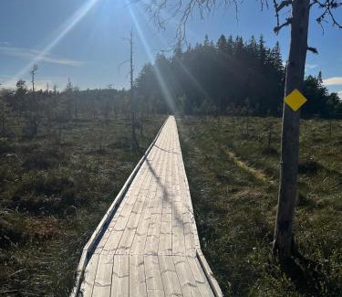 Poytya Apartment | Mökki ja saunamökki Kurjenrahkan kansallispuistossa