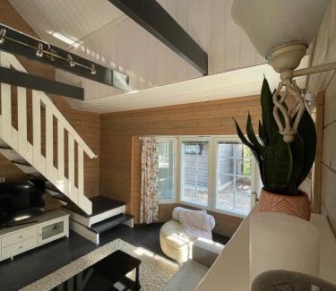 Syote Apartment | Mörrimöykky Iso-Syöte hirsimökki