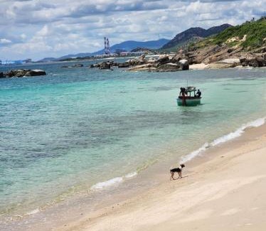 Thuan Nam Hotel | Mũi Dinh Hotel