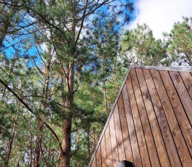Da Lat Resort | Mơ Stay - Forest Resort