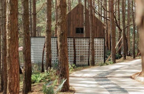 Da Lat Resort | Mơ Stay - Forest Resort