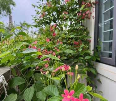 Hoa An Bed & Breakfast | Mộc Liên Homestay