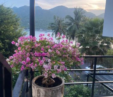 Nha Trang Villa | M Villa Nha Trang