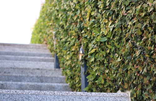 Guimaraes House | ma-la studios Guimarães 203