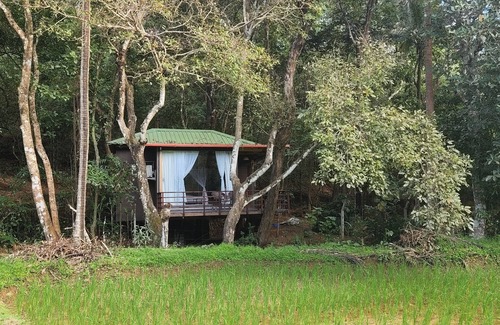 Sirsi Cottage | Machan @ Captain's Camp, Sirsi