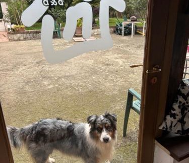 Sant'Agata de'Goti Bed & Breakfast | Magione B&B