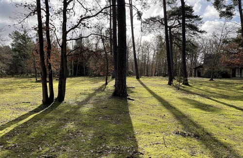 Menetreol Sur Sauldre Villa | Magnificent villa in a pretty wooded park of 6000m².