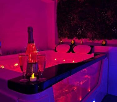 Avolsheim Apartment | Magnifique gîte avec jacuzzi et sauna privatifs