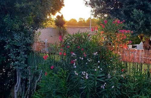 Lattes House | Magnifique T2 entre Montpellier et Palavas!