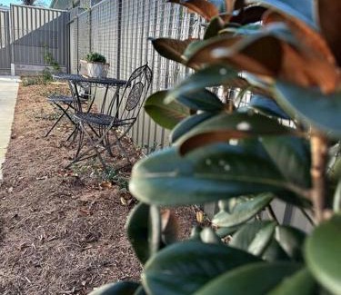 Alstonville House | Magnolia Little Gem