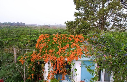 Bao Loc Cabin | Maian Natural Farm