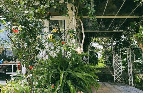 Bao Loc Cabin | Maian Natural Farm