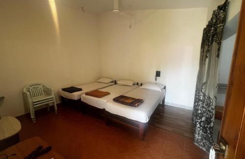 Vagator Hotel | Maior Roma by Jolly Jolly Lester