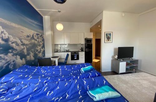 Vierema Apartment | Maisa's studio huoneisto Huoltotie