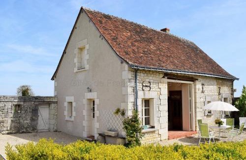 Parcay-sur-Vienne House | Maison ancienne en campagne avec jardin clos - Animaux acceptés - Proche vignobles Chinon - FR-1-381-440