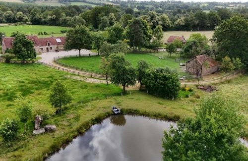 Ceauce House | Maison authentique avec charme et animaux acceptés à Céaucé - FR-1-497-142