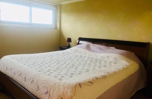 Nevez House | Maison avec piscine à Névez