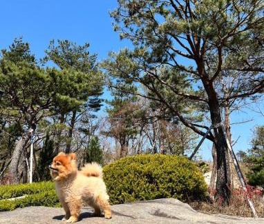 Toseong House | Maison de Briel