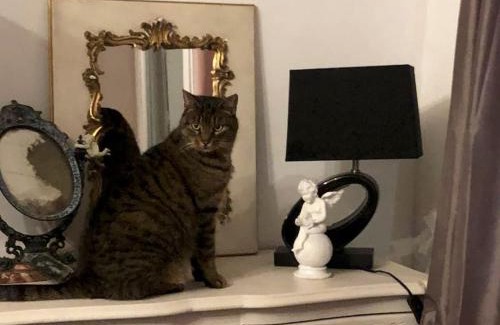 Blainville-sur-Mer House | MAISON DE FAMILLE ENTRE MER ET CAMPAGNE à 5 MN DE LA PLAGE