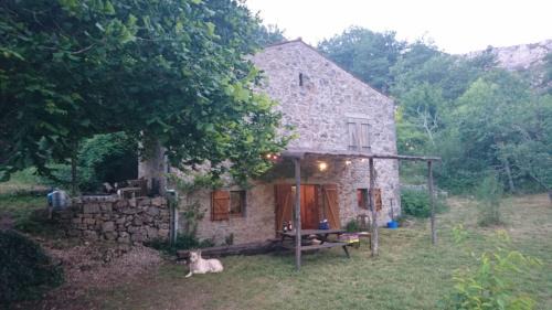 Tournemire House | Maison de Vignes de Tournemire