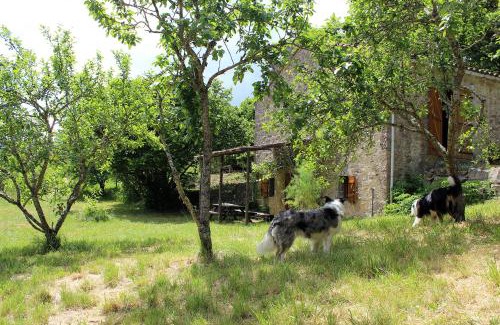 Tournemire House | Maison de Vignes de Tournemire