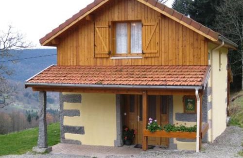 Saulxures-sur-Moselotte House | Maison montagnarde rénovée avec cheminée et randonnées - FR-1-589-281