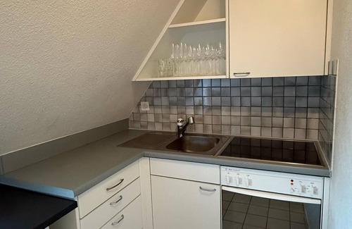 Werd Condo | Maison Züri Charming Retreat in Wiedikon, Just 16 Minutes from Lake Zurich