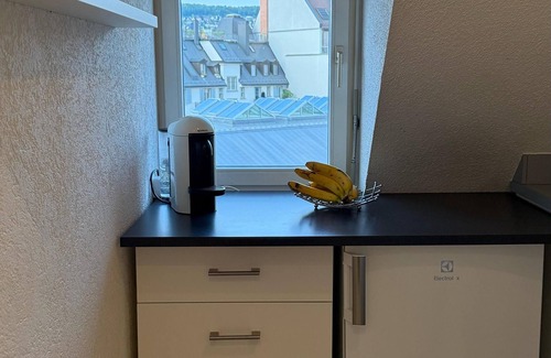 Werd Condo | Maison Züri Charming Retreat in Wiedikon, Just 16 Minutes from Lake Zurich