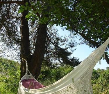 Ploermel Apartment | maisonnette écologique isolée en botte de paille
