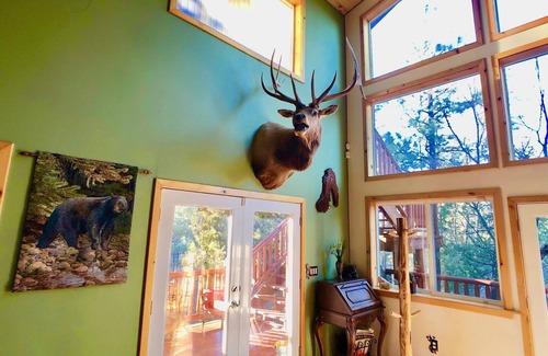 Show Low Cabin | 🌲Majestic Mountain Getaway - Jenson's TreeHouse, a Spacious Cabin Retreat.🦌