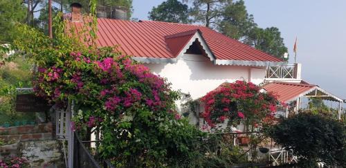 Majkhali House | Majestic View & Misty Morning