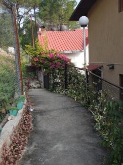 Majkhali House | Majestic View & Misty Morning