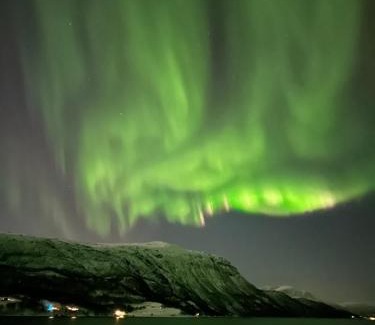 Skalsvik House | Malangen Arctic Sealodge Cabin 10