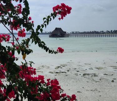 Pongwe Hotel | Malcom Ocean View Retreat