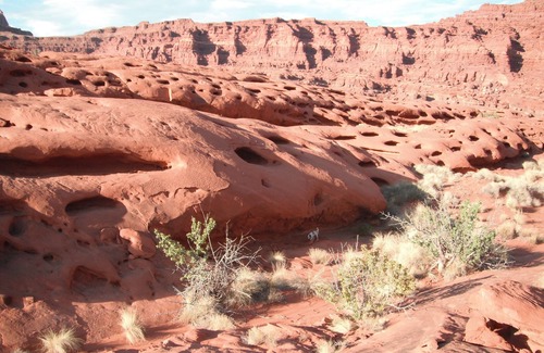 Moab Cottage | Male Hogan, disc golf, kayaks, ATV, wildlife, hiking, beach, pet friendly