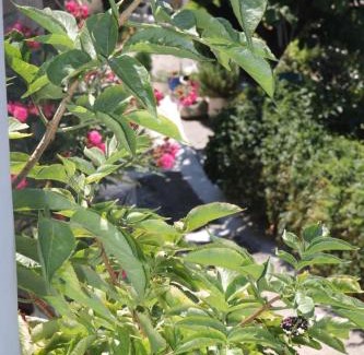 Kato Metochi House | Malia Stone Residence - Secluded Cozy Retreat