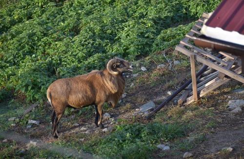 gmina Łukowica House | Malinowy Domek