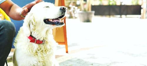 Edremit Hotel | Manastırhan Otel Kazdağları