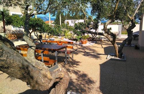 Sucuraj Apartment | Manora Sucuraj one bedroom apartment