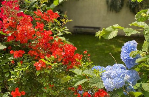 Mantilly House | Mantilly Cottage