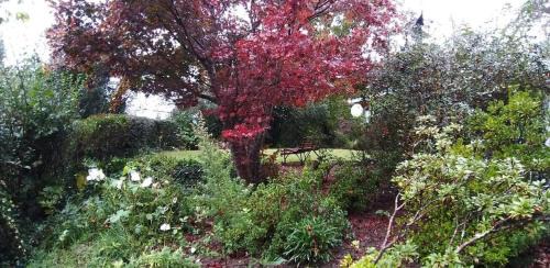 Hogsback Ski Chalet | Maple Grove